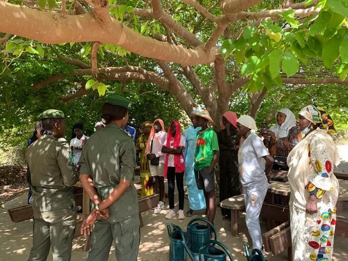 GRAINES CELEBRE LA JOURNEE INTERNATIONALE DE L’ENVIRONNEMENT A LA FORET DE MBAO